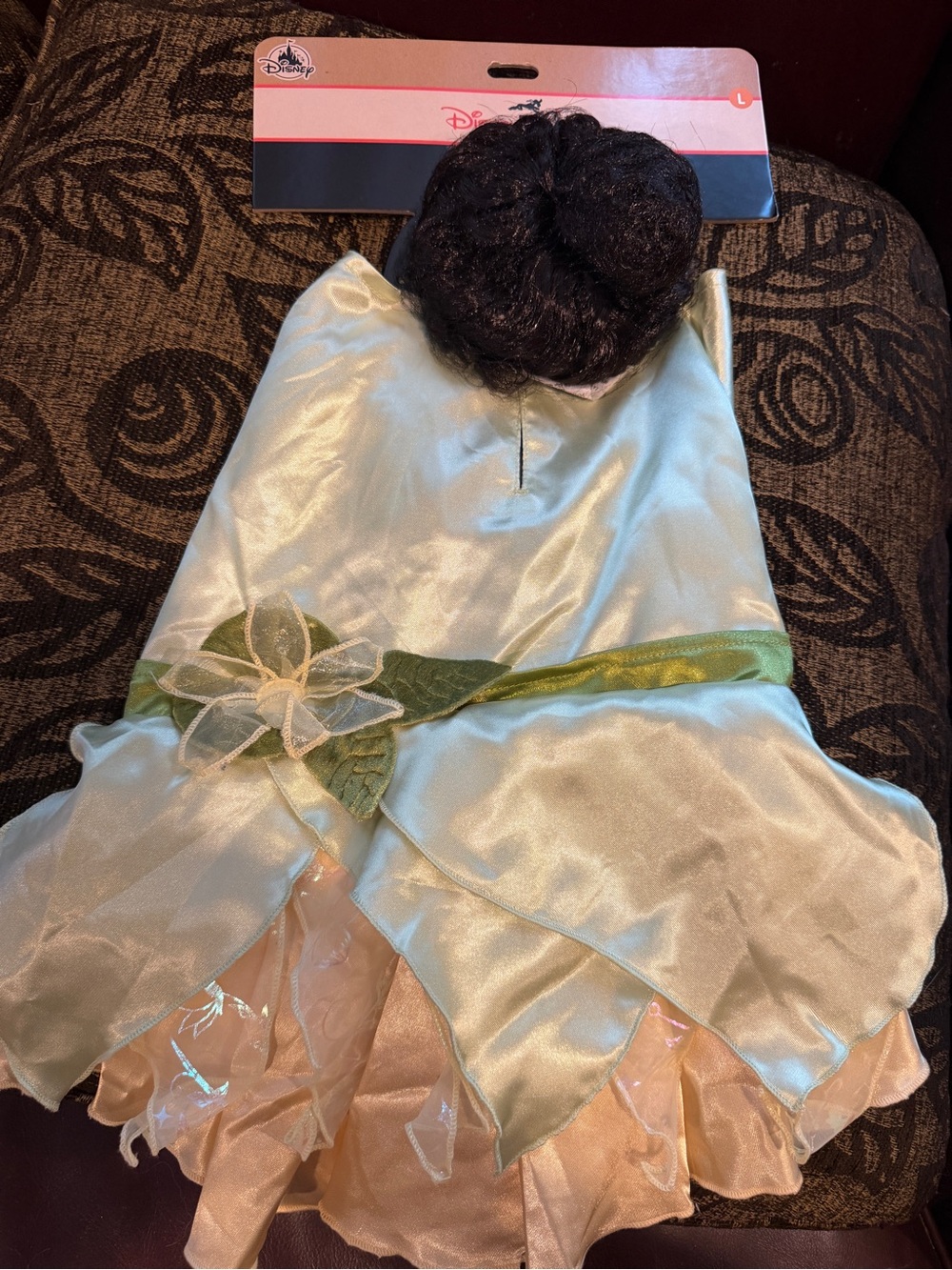 Disney Princess Tiana Green and Peach Dog Costume Dress